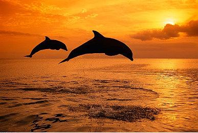 经典塔防续作《王国保卫战5：联盟》Steam页面 7月25日推出